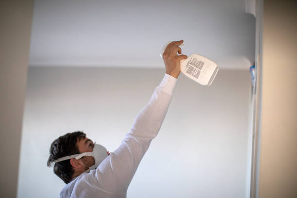 Best Toxic Mold Removal  in Sawgrass, FL