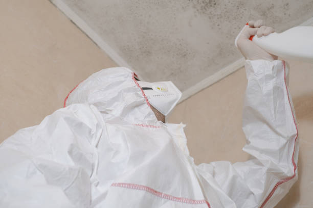 Mold Removal and Inspection in Sawgrass, FL